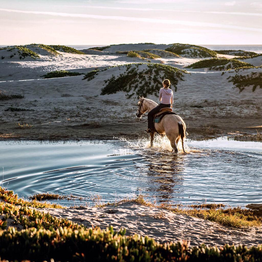 Balade à cheval